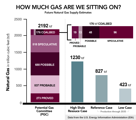 Future Gas Supply