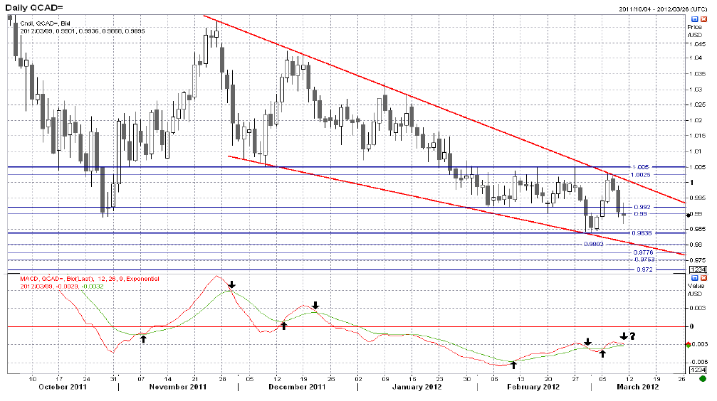 Daily QCAD