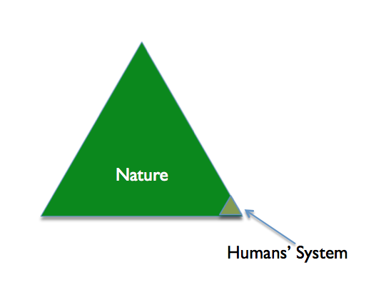 How-Humans-System-Started