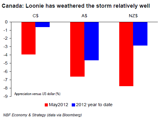 Loonie has weathered the storm relatively well