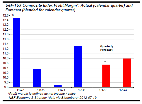 Profit Margin expectations