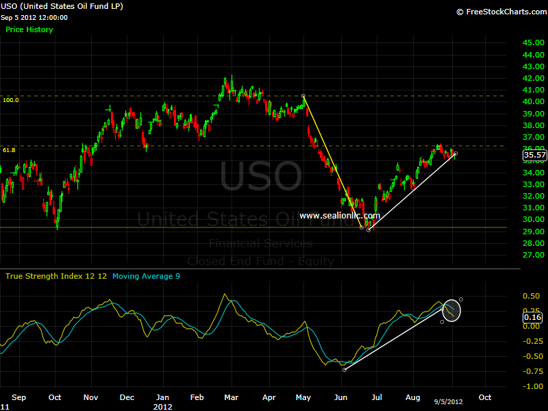 USO Daily