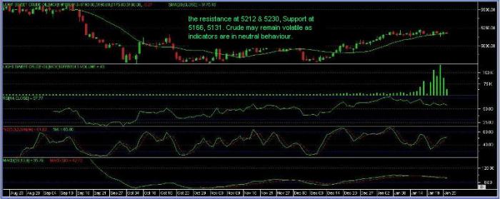 mcx_crude