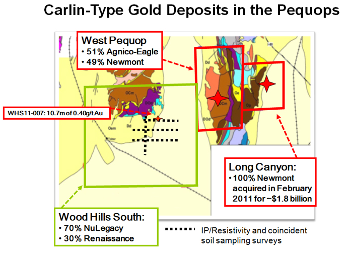 Carlin Type Gold Deposits
