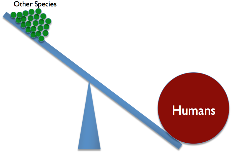 humans-won-the-competiton-with-other-species
