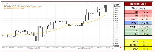 U.S Natural Gas