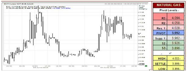 U.S Natural Gas