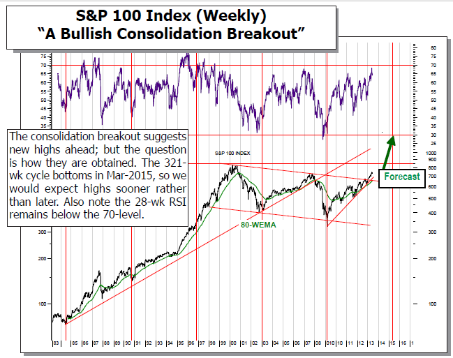 S&P 100 Index