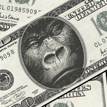 Fat Gorilla