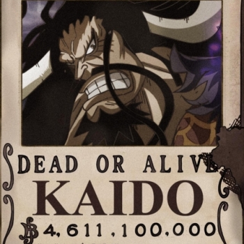 Kaido The Beast