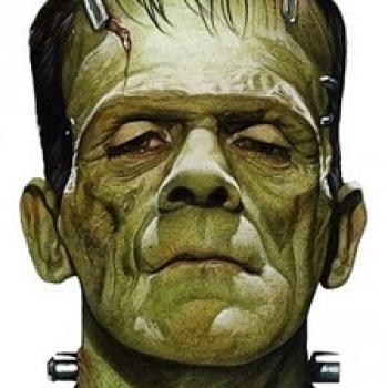 Franklin Stein