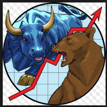 Nico Bear Bull