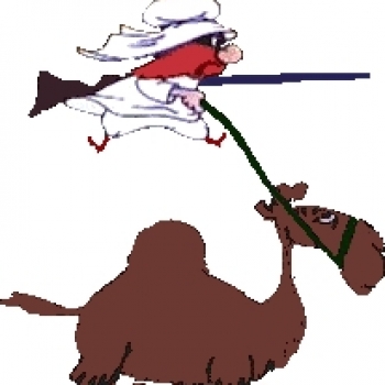 The Scalper