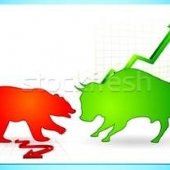 bull x bear