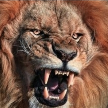 Beast Mode
