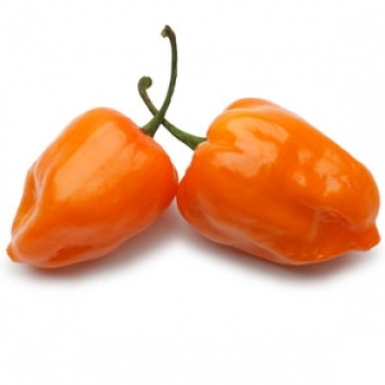 Habanero Peppers