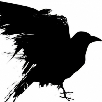 The Crow