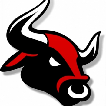 GOLD BULL
