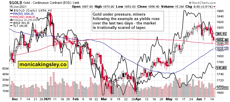 Gold, HUI And TLT Combined Daily Chart.