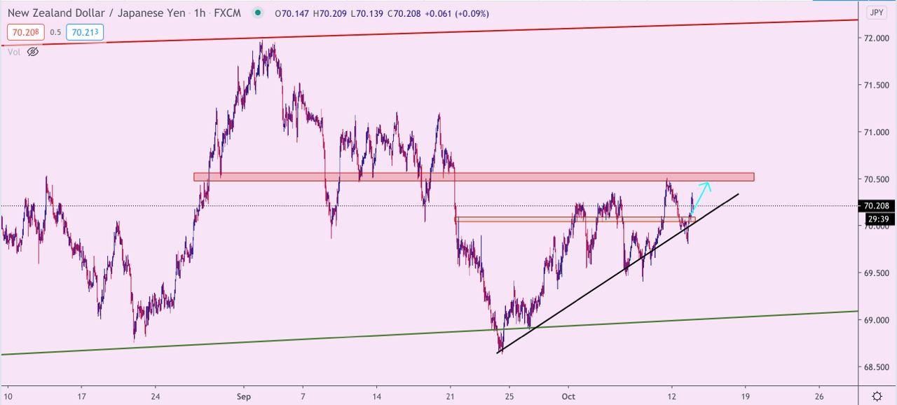 NZD/JPY 