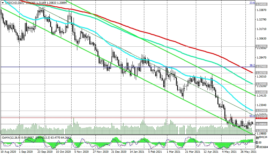 UCD-Daily