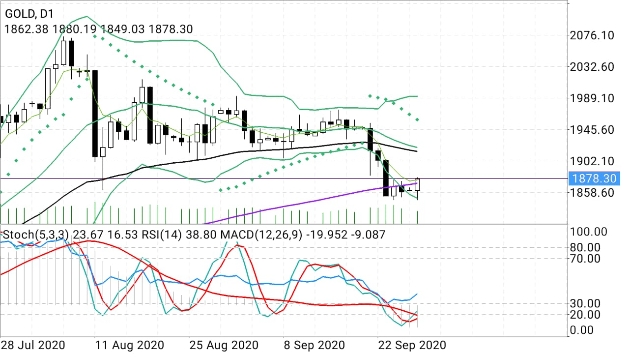 Gold Daily