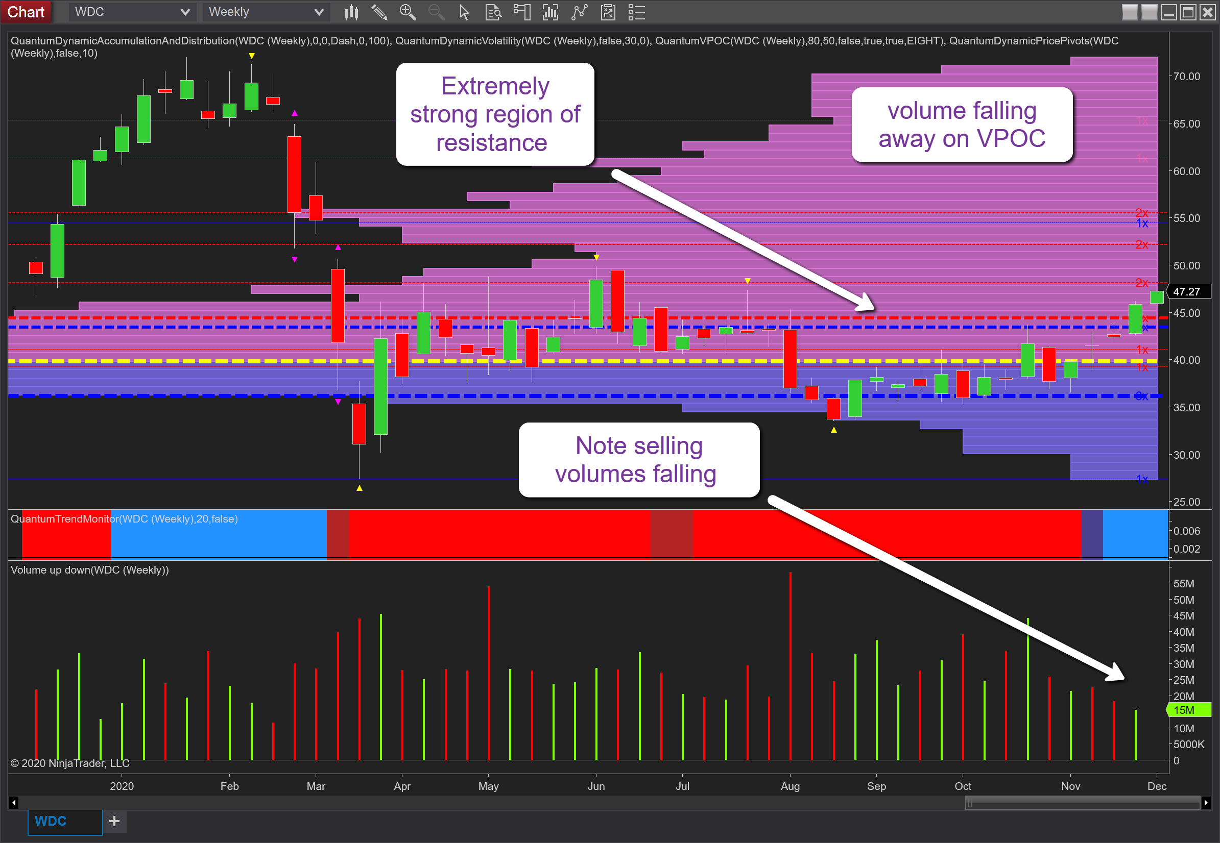 WDC weekly