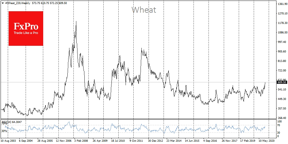 Wheat prices grew to 5-years high