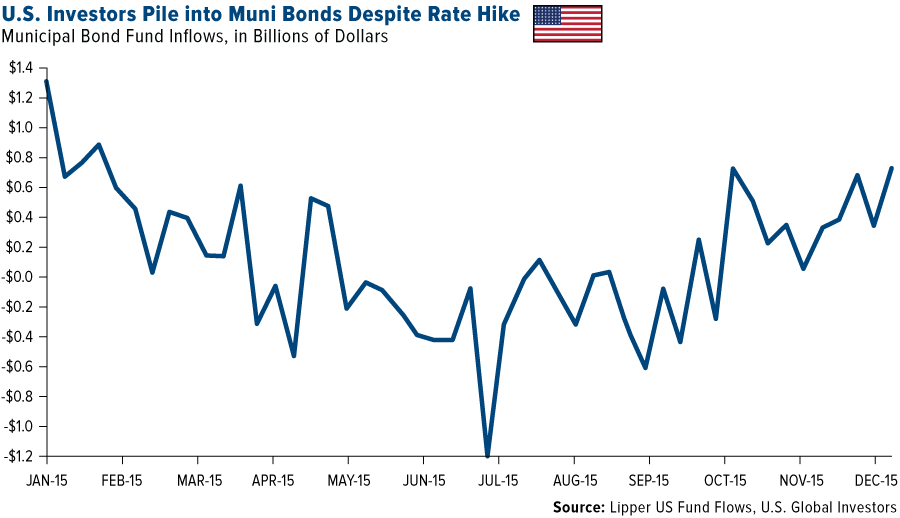 Muni Bond Investors