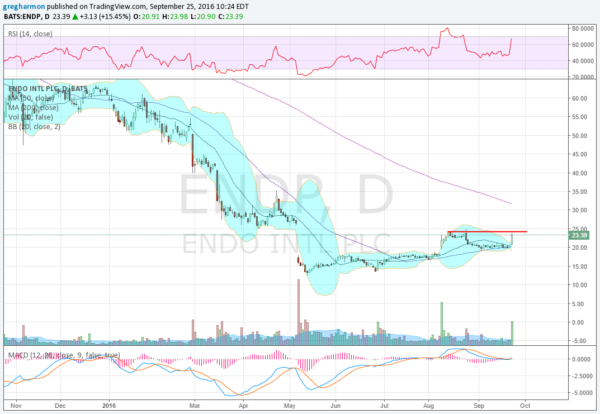ENDP Daily Chart