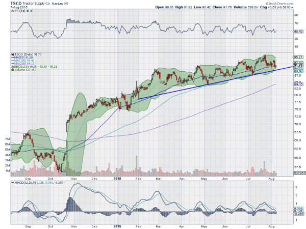 TSCO Daily Chart