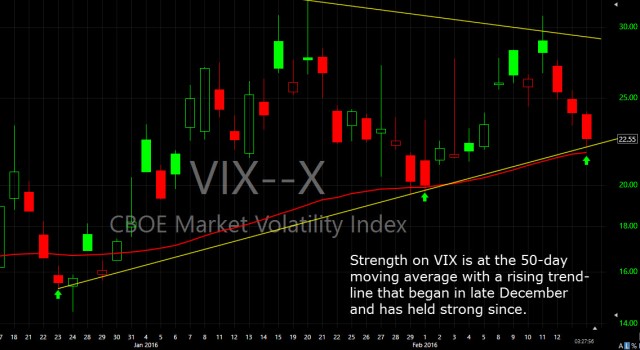 VIX Daily
