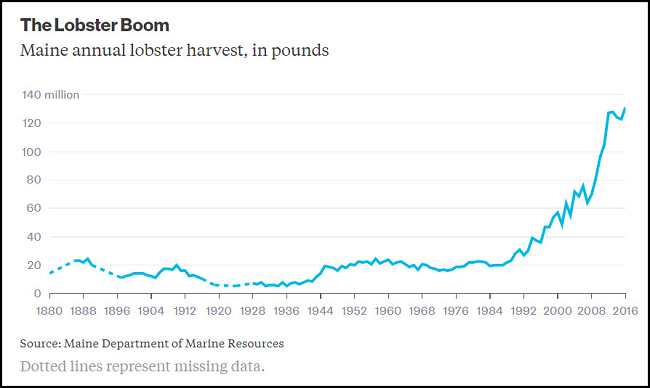 Lobster Boom Chart