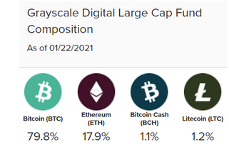 Grayscale Digital Large Cap Fund Weighting