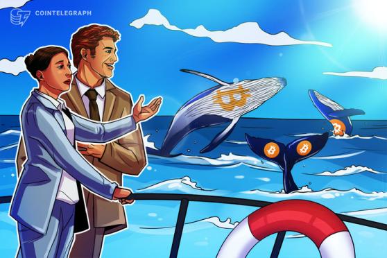 Institutions and miners accumulating through Bitcoin chop; whales uncertain