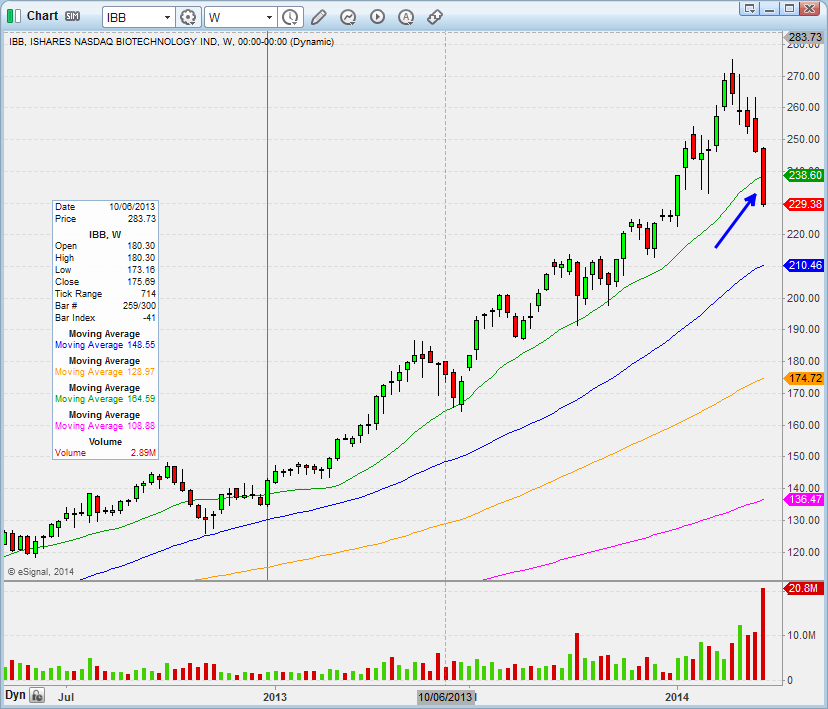 IBB Weekly