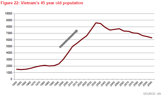 Vietnam's 45 Year Old Population