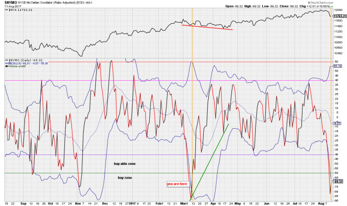 NYMO Daily Chart