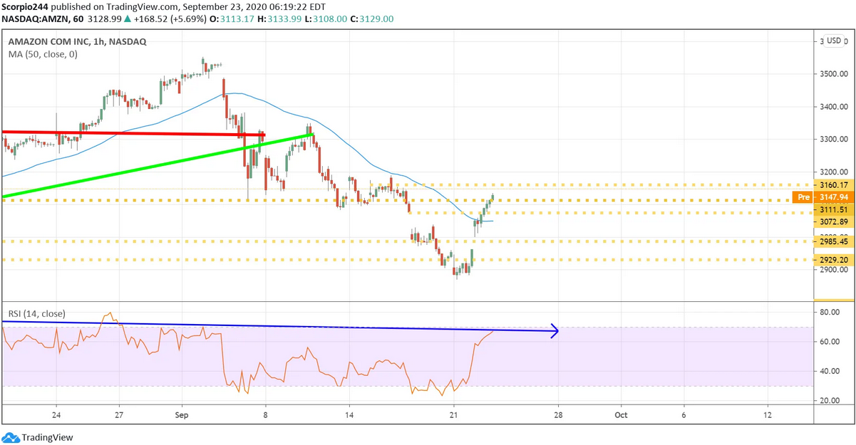 Amazon Inc Hourly Chart