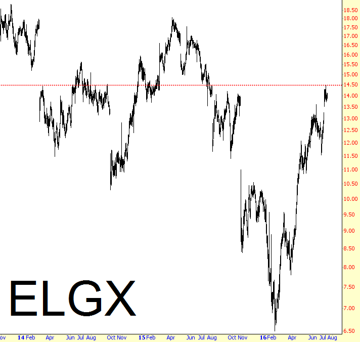 ELGX Chart