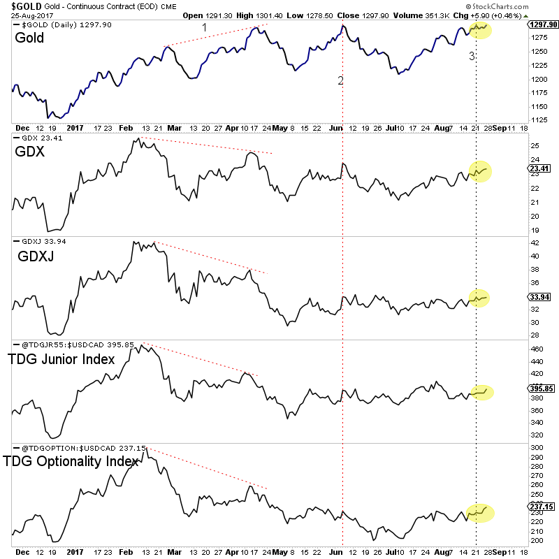 Daily Gold:GDX:GDXJ:TDG Junior Index:TDG Optionality Index