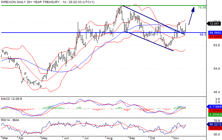 Direxion Daily Chart