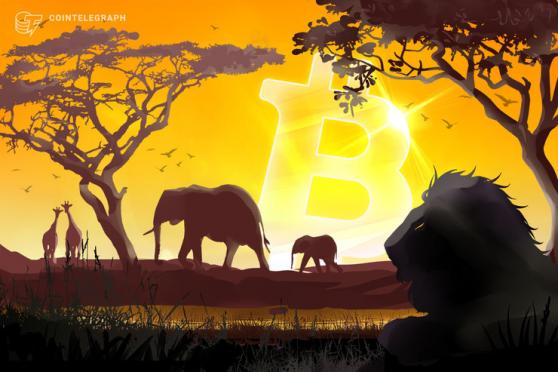 Search Interest for Bitcoin Highest in Africa and South America