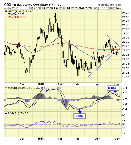 GDX Daily Chart