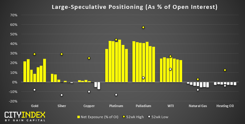 Large Speculative Positioning