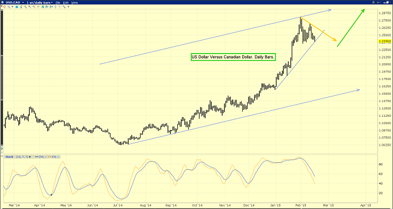 Daily USD