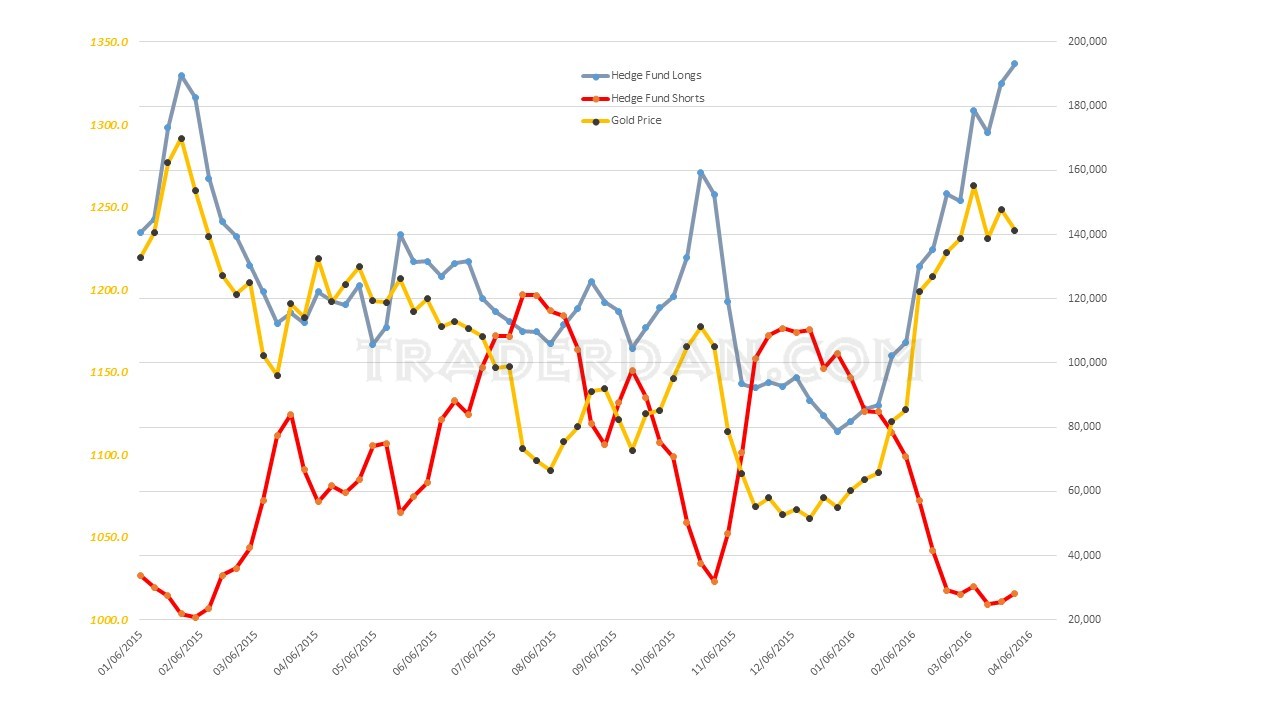 Hedge Fund Positioning 2015-2016 