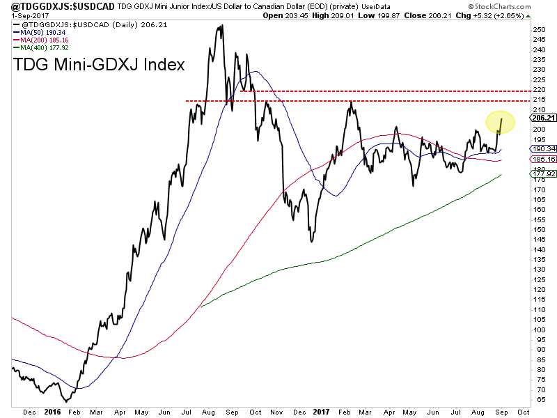 TDG Mini - GDXJ Index