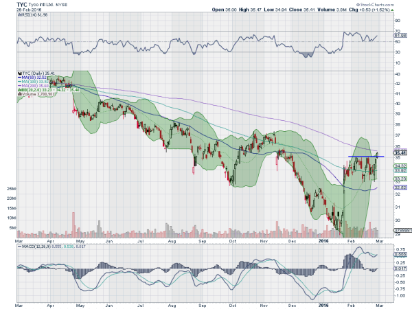 TYC Daily Chart