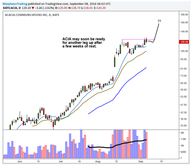 Acacia Communications Daily